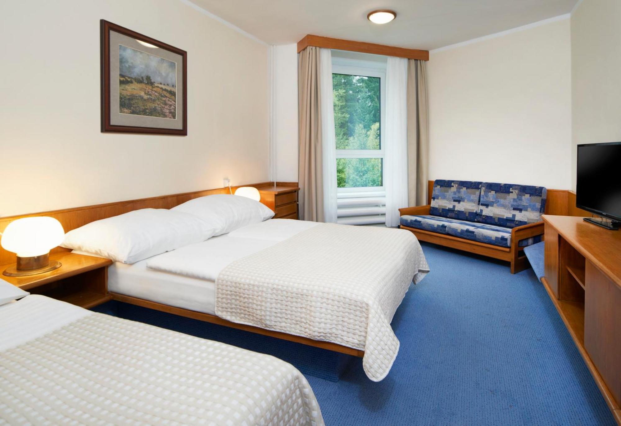 Wellness Svornost Hotel 4*